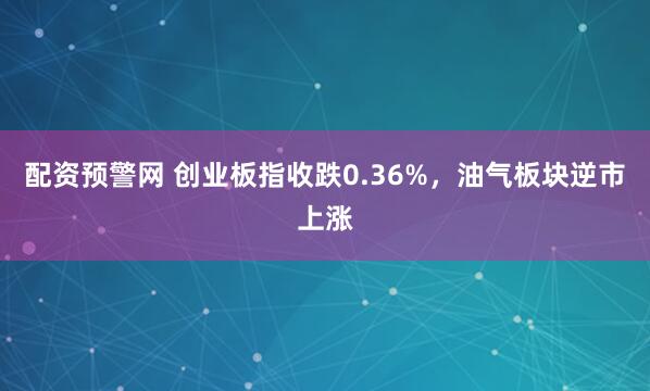 配资预警网 创业板指收跌0.36%，油气板块逆市上涨