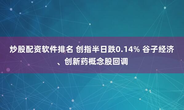炒股配资软件排名 创指半日跌0.14% 谷子经济、创新药概念股回调