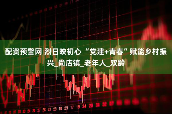 配资预警网 烈日映初心 “党建+青春”赋能乡村振兴_尚店镇_老年人_双龄
