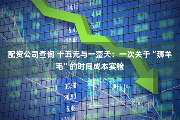 配资公司查询 十五元与一整天：一次关于“薅羊毛”的时间成本实验